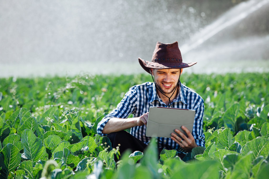 Plataforma de treinamento corporativo para agronegócio
